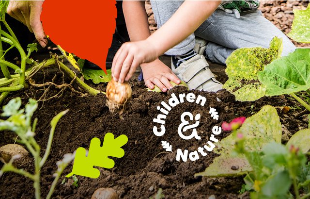 FT Nature campaign 2022 Homepage image 640x410px 1 1