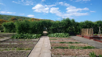 NECA allotment