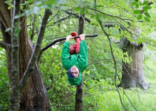 Nature play principles